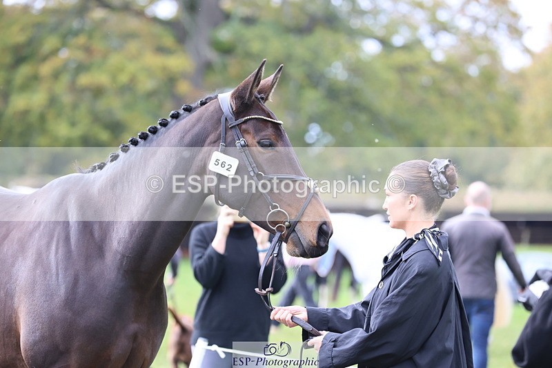 251026A-121134-25940 - G-562-Phoebe.Lagor