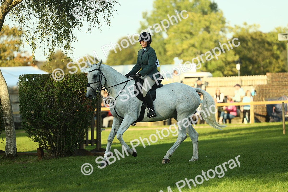 SBM_55537 - S14 - Riding Club Horse