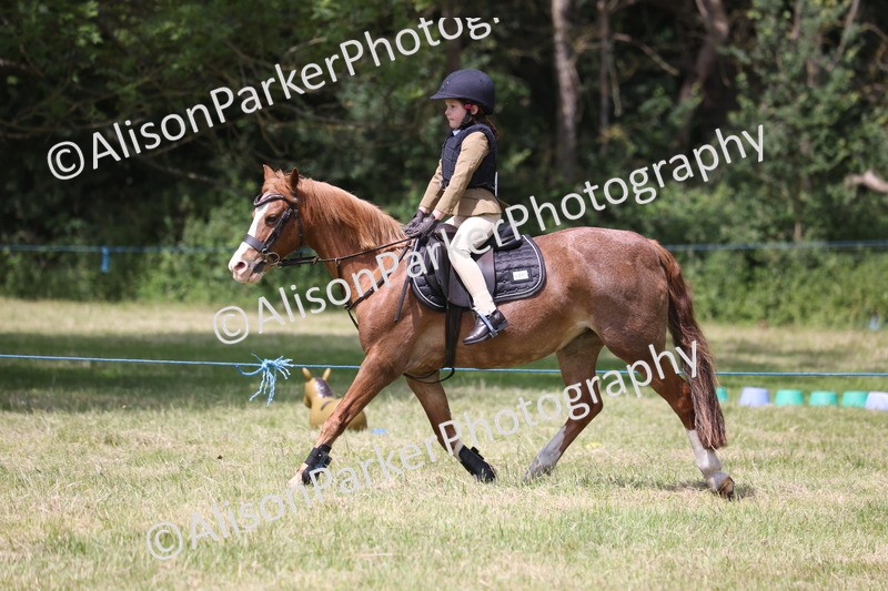 20260614-2011 - Class 21 - Novice Working Hunter Pony