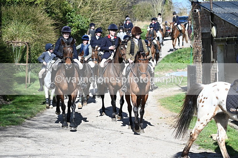 WJ7_9727 - Home for hunt tea !