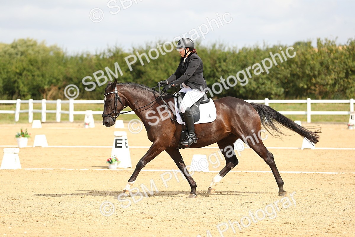 SBM_016278 - Class 13 - Novice 23 - 11.25-12.35