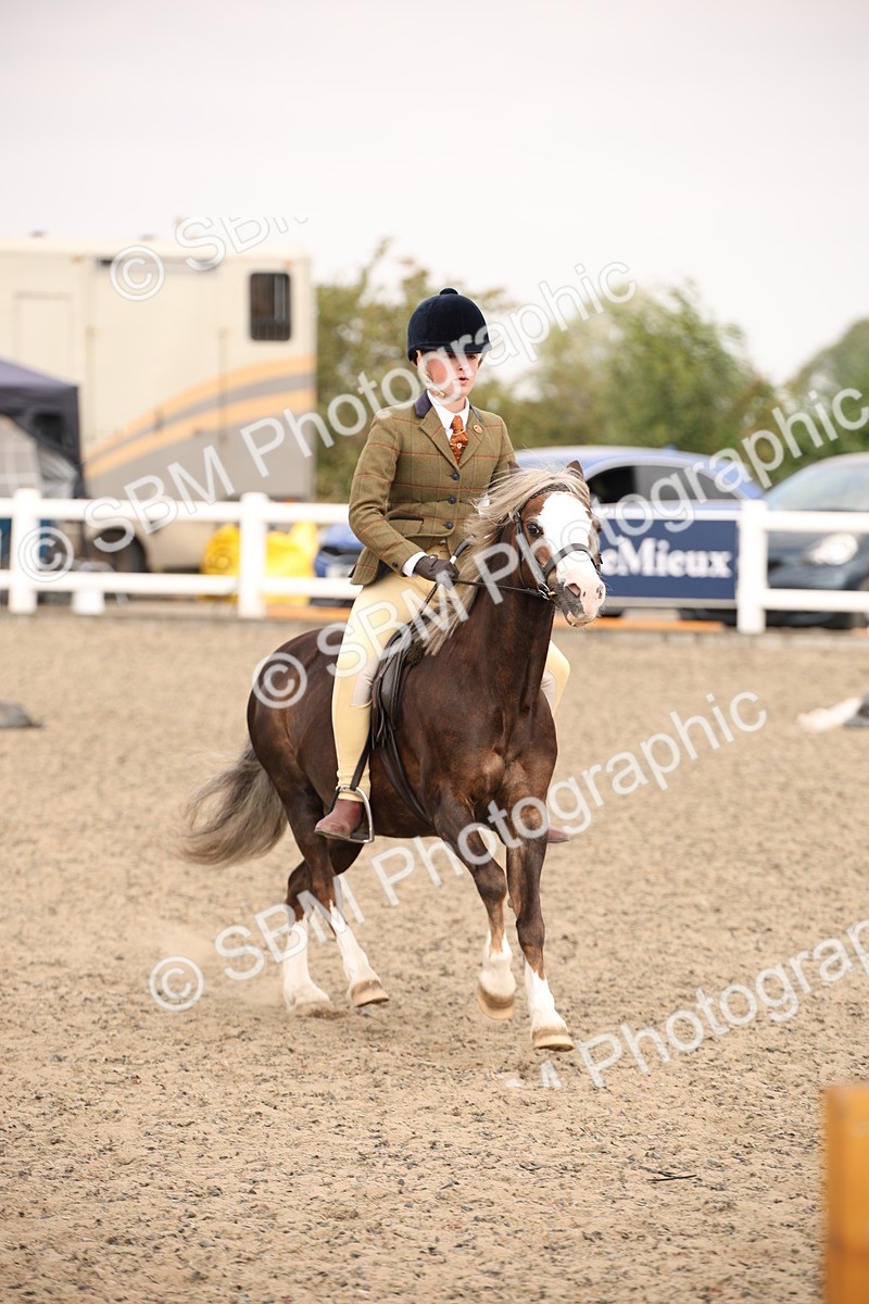 SBM_12575 - Class 405b - M&M Working Veteran 50cm 20+