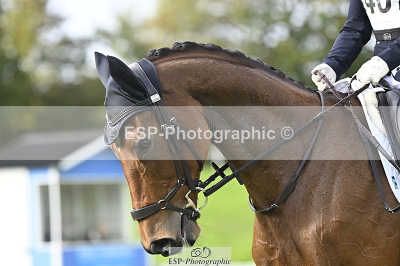 251023A-104037-02902 - F-407-Helen.Jackson