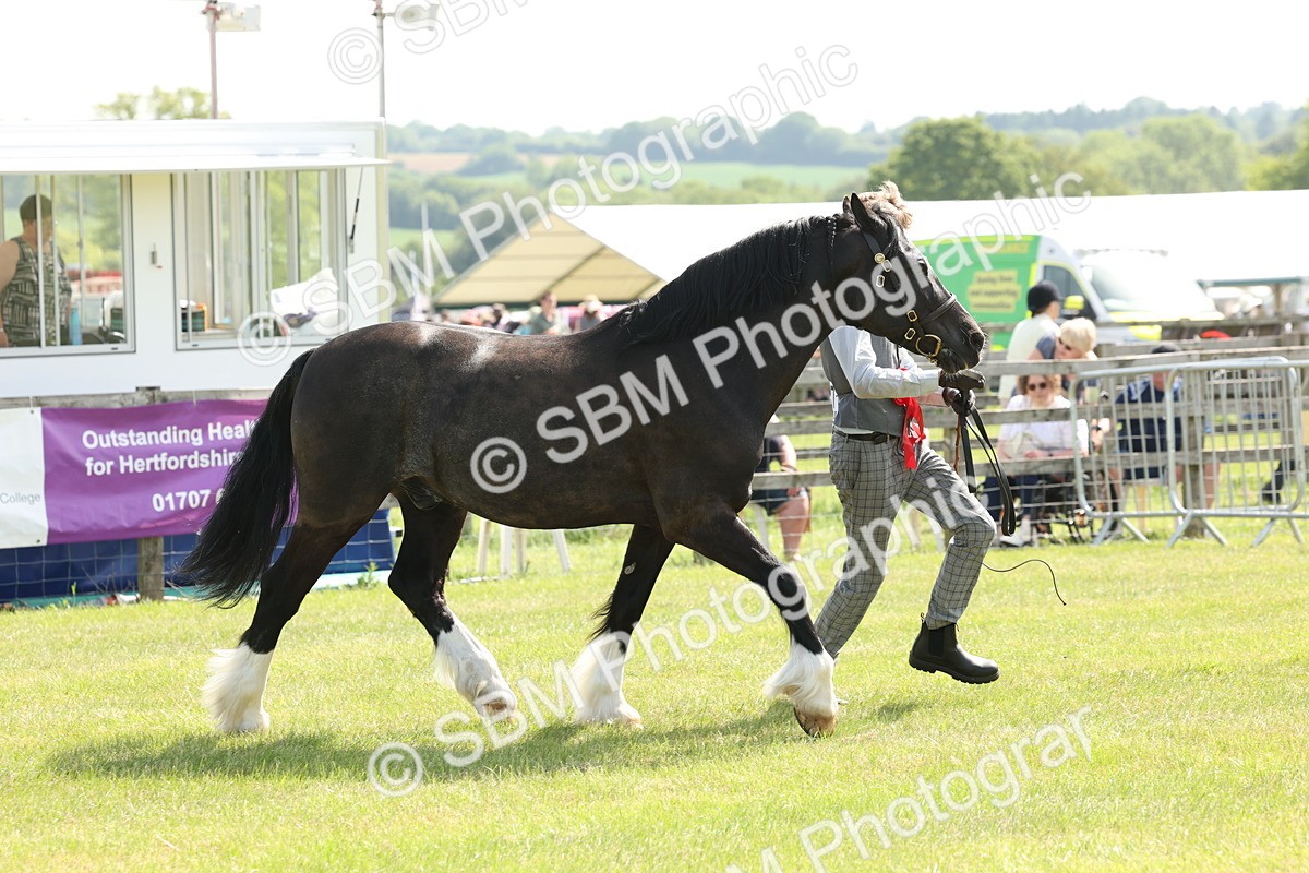 SBM_02346 - Class 6-13 - Mountatin and Moorland In Hand Welsh Breeds