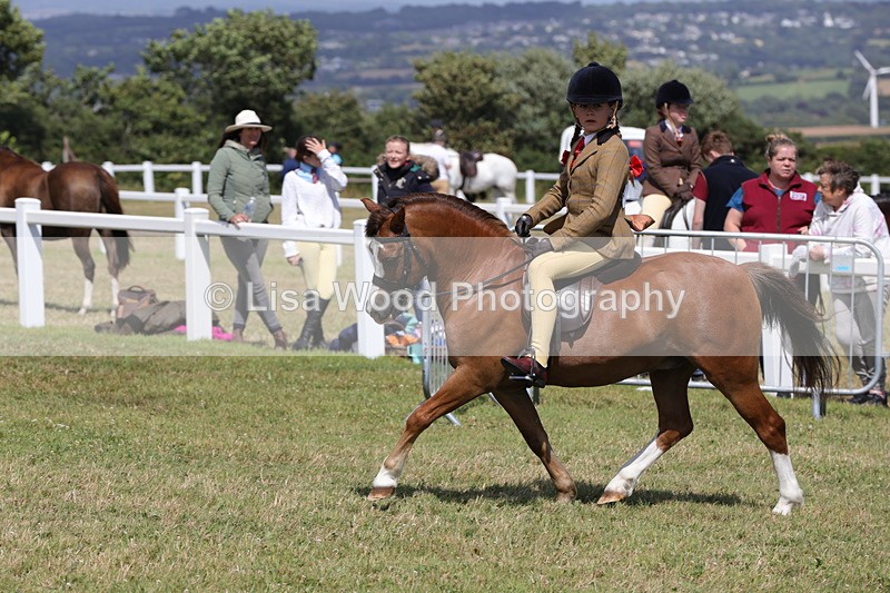 1X9A5349 - Class 37: NPS M&M First Ridden