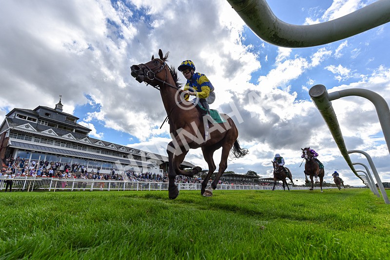 140926-Race 3-Majestic Jude-2-2 - Race 3 3.21pm British Stallion Studs EBF Novice Stakes