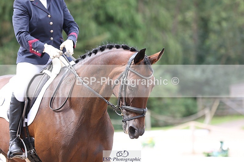 230813-111808-06804 - Cls 11 Elem Bronze 11.10 to 12.20 break