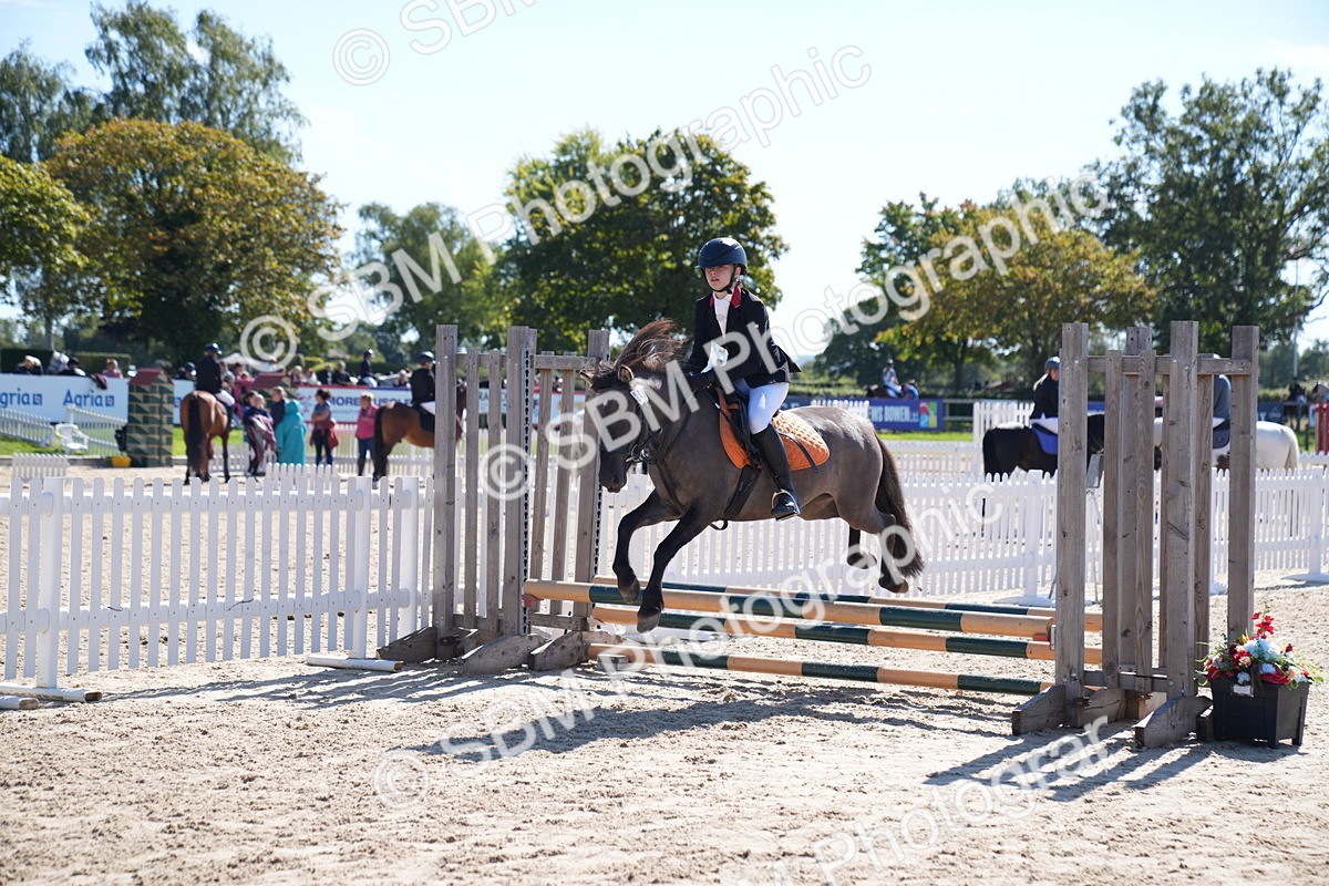 SBM_19526 - J57 - Clear Round 50cm