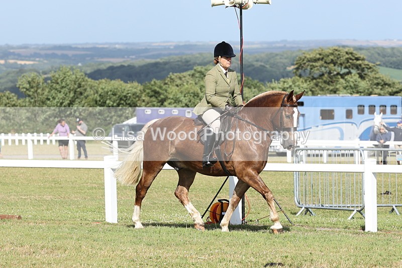 JPP_2846 - Class 20: Working Hunter 70cm