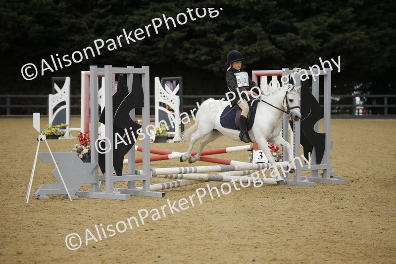 20250622-1485 - 40cm