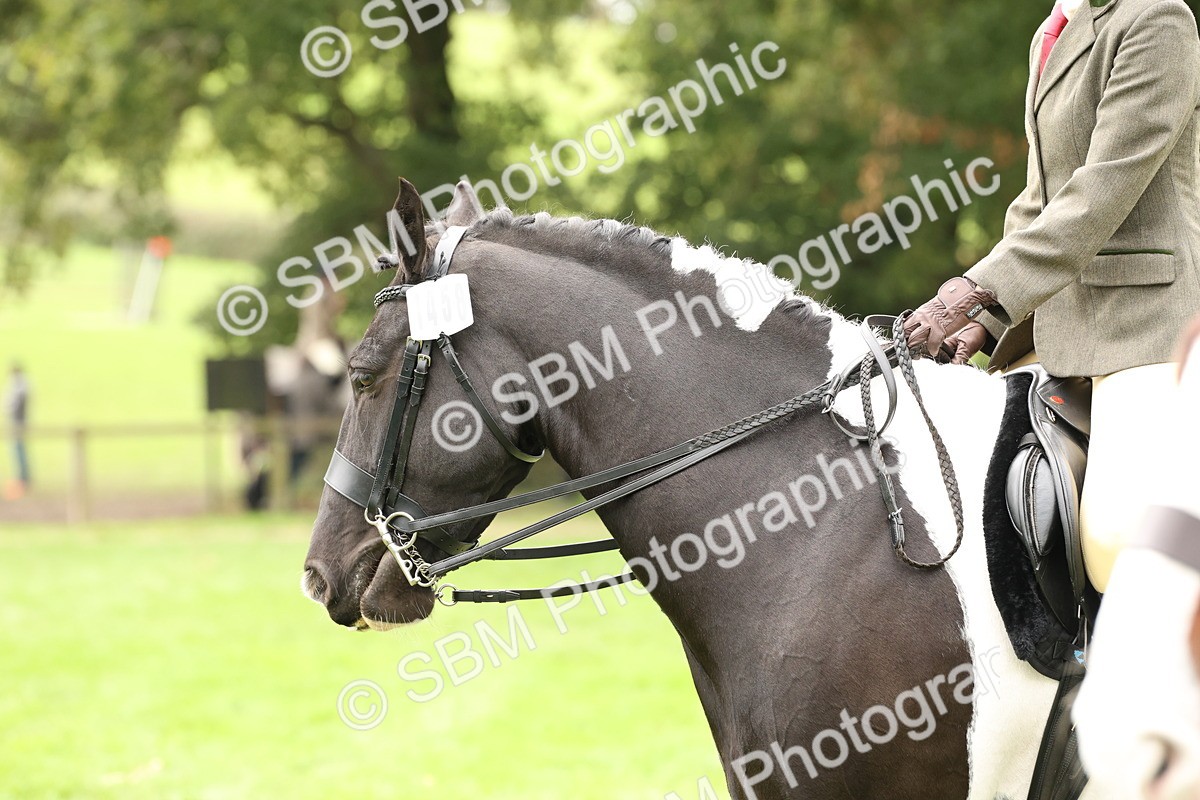 SBM_67289 - S67 - Piebald & Skewbald Horse Ridden