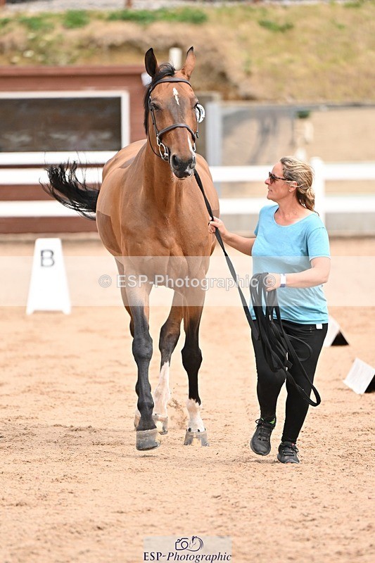 250716-150838-01679 - Trot Up 2.30 to 3.30