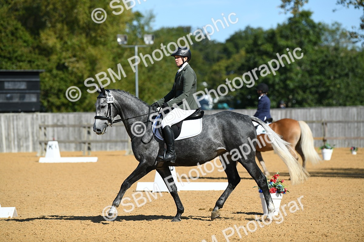 SBM_17947 - D4 - Small Tour Championship - Intro B