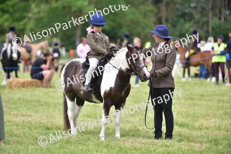 20260614-1391 - Class 11b - Lead Rein Pony (Plaited)
