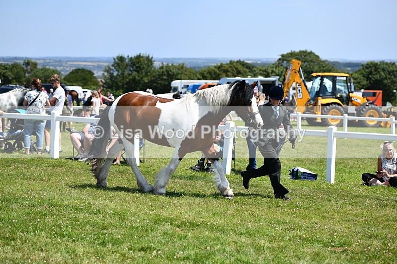 DSC_7563 - Class 64: Coloured Pony 4yrs & over
