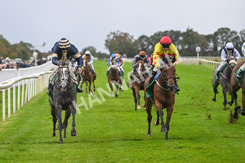150925-Race 2-Rum Therapy-2395 - Race 2