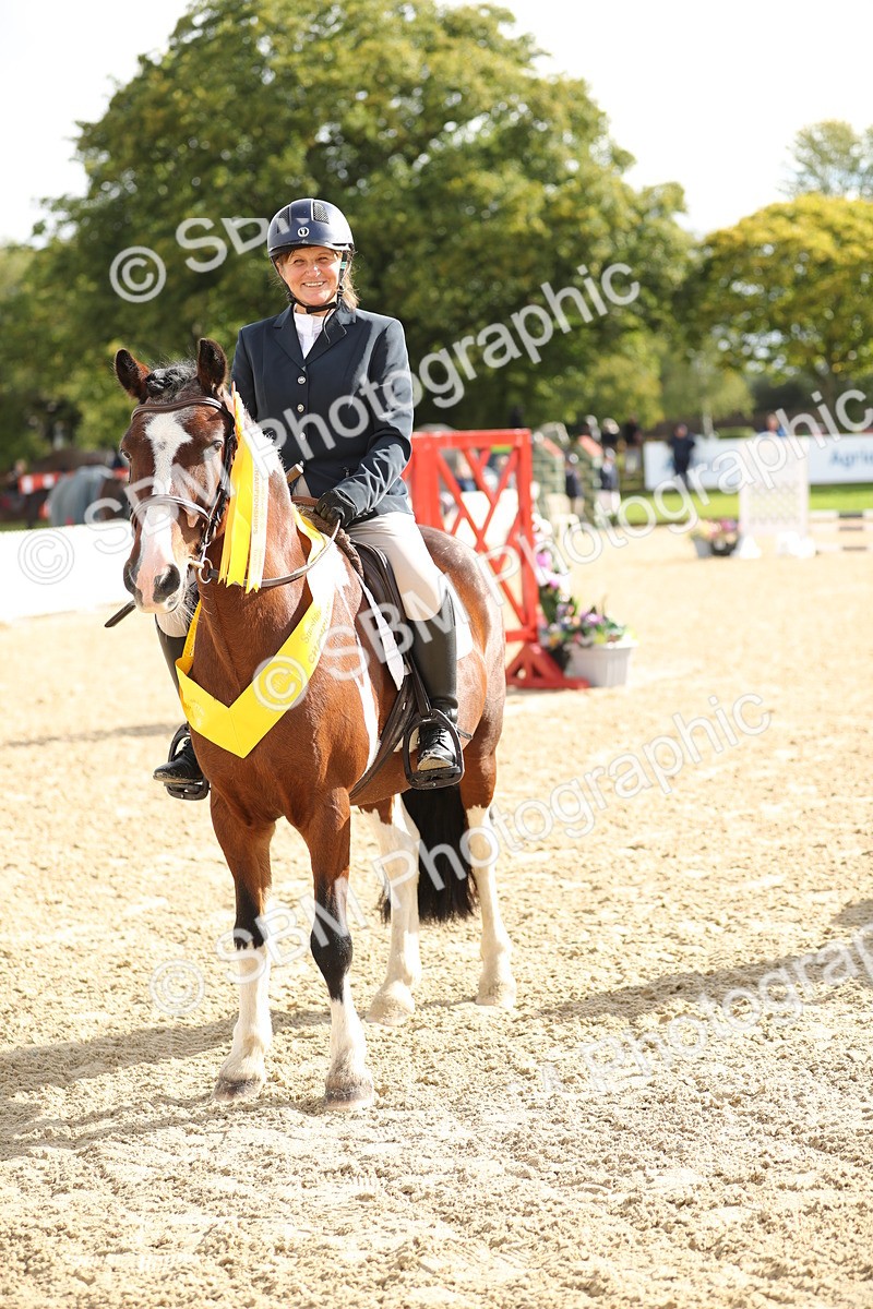 SBM_02043 - J34 - Veteran Rider 50cm