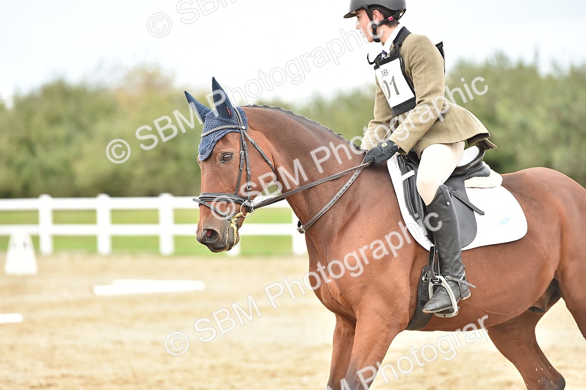 SBM_002497 - Novice 1