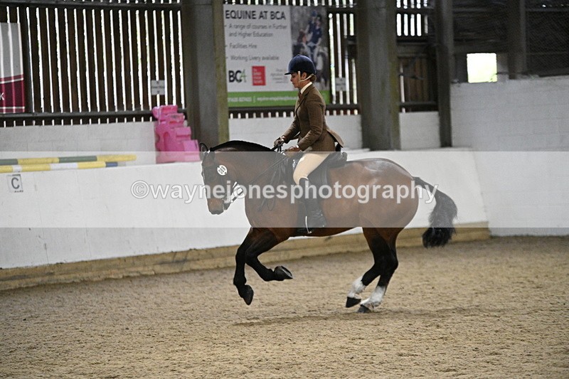 WJ7_4031 - Class 17 Ridden Cob