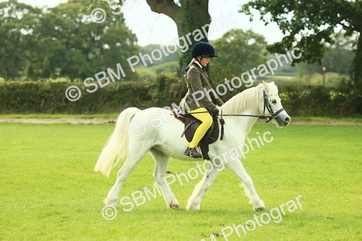 SBM_69814 - S59 - Mountain & Moorland Ridden Small Breeds
