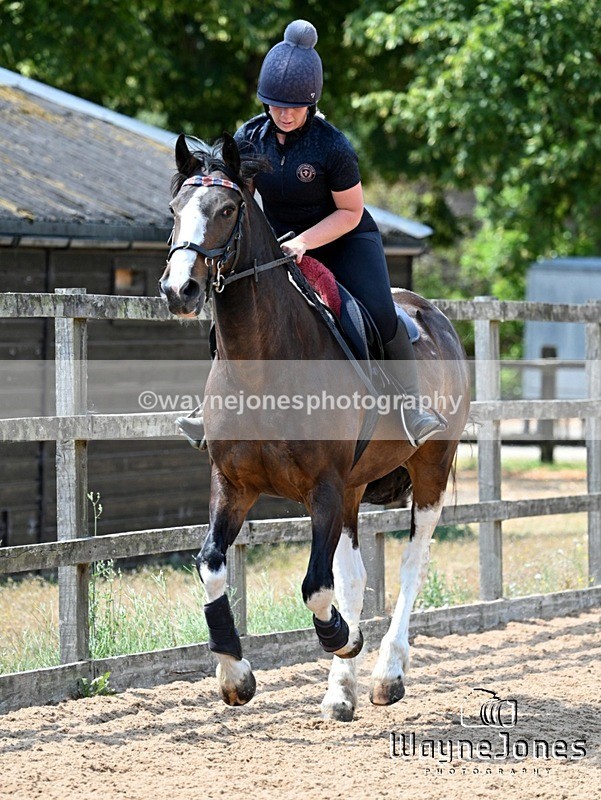 WJ7_6565 - Show Jumping at BCA