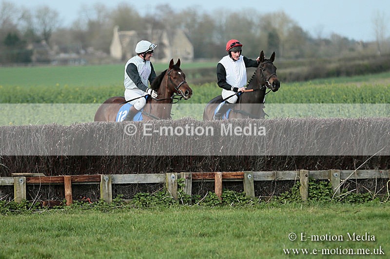 PtP 230319 381 - VWH Hunt Siddington Point-to-Point Racing 23/03/19
