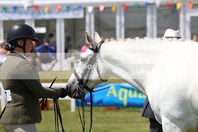 3E7A1717 - Class 9: Open Hunter