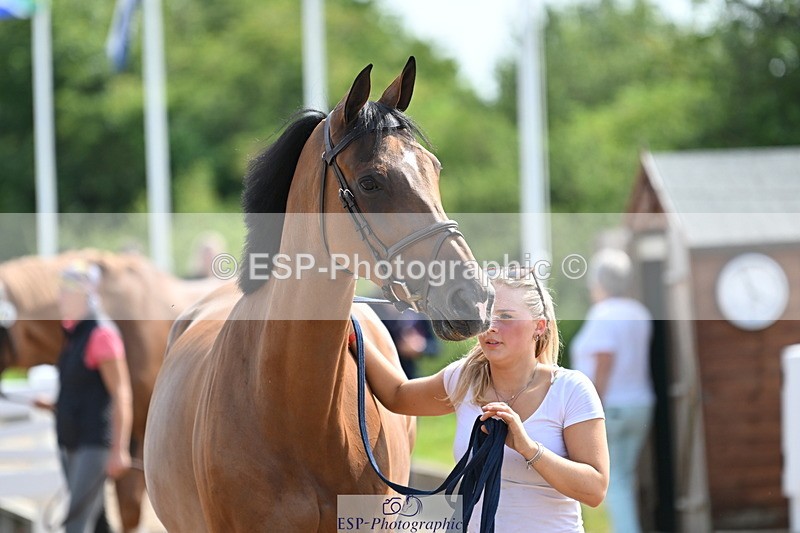 240717A-155509-03184 - Trot Up 3pm to 4pm