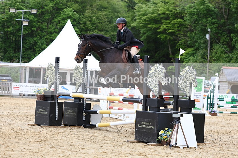 3E7A6151 - Class 4: Senior British Novice/90cm open