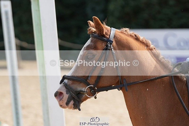 250821A-144826-17336 - WC Round 2 14.00 to End