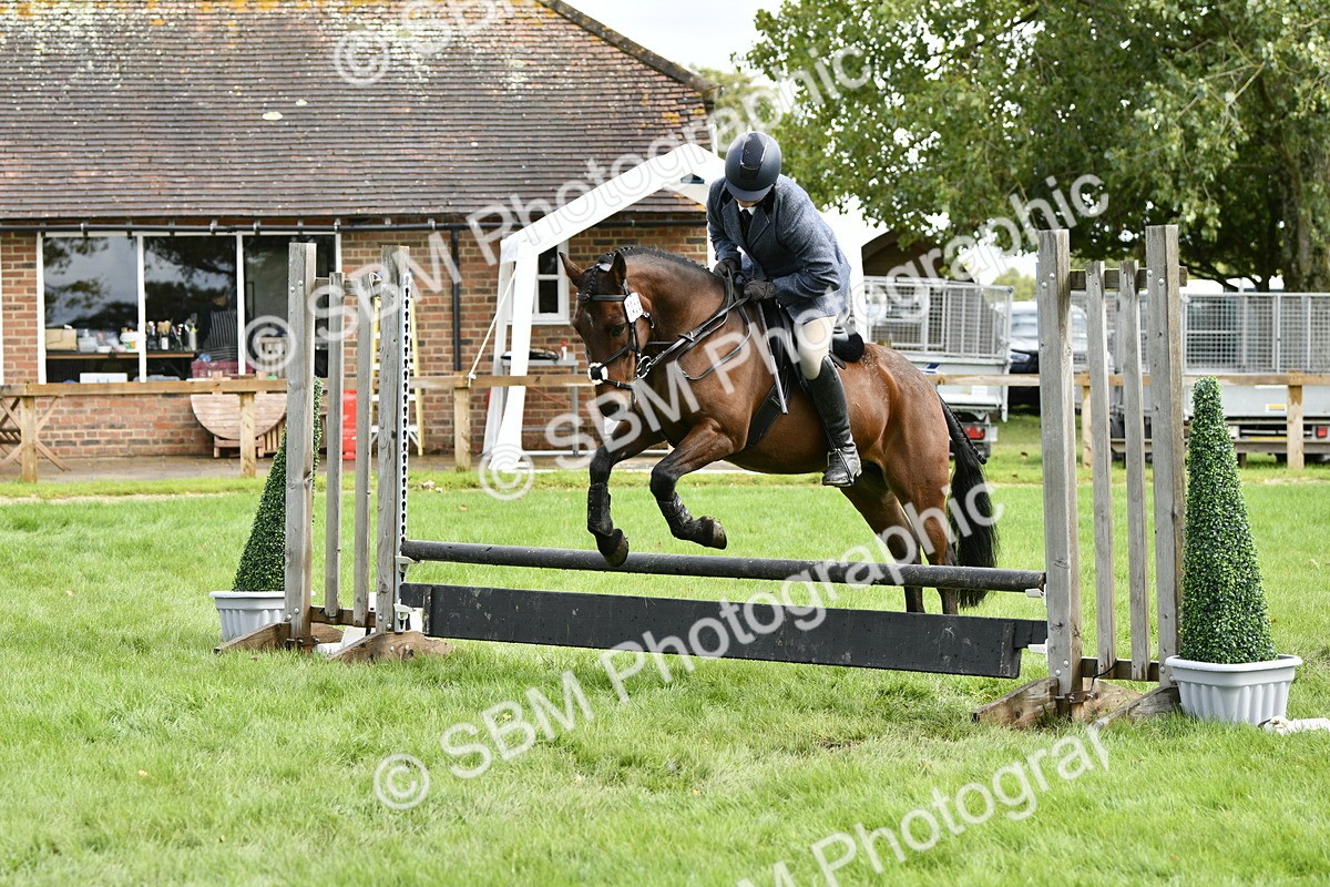 SBM_45618 - S33 - Working Hunter Pony