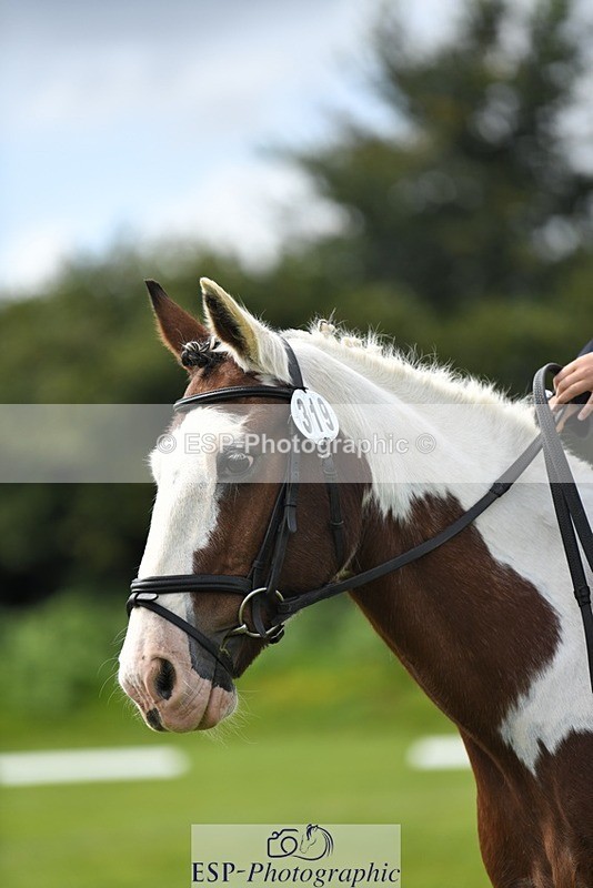 230826-140444-21526 - PC 70 2pm to End