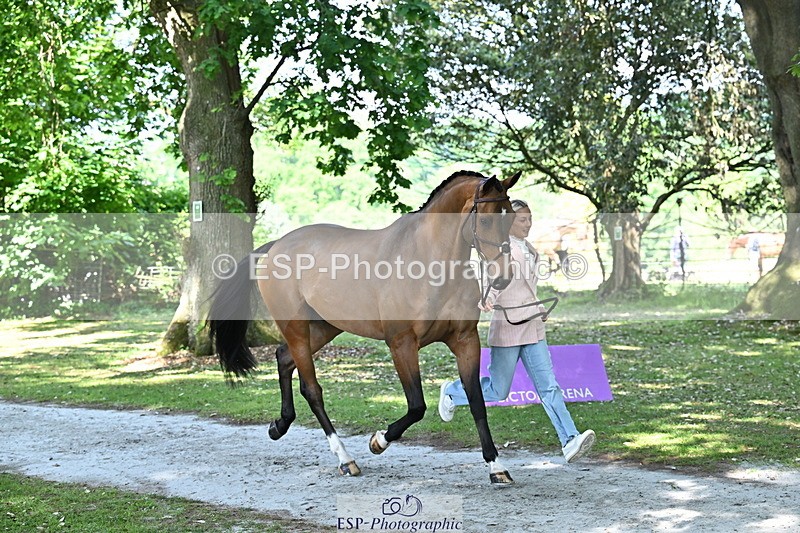 250521A-154639-00751 - B-364-Yasmin.Ingham-KINDA.CORVETTE