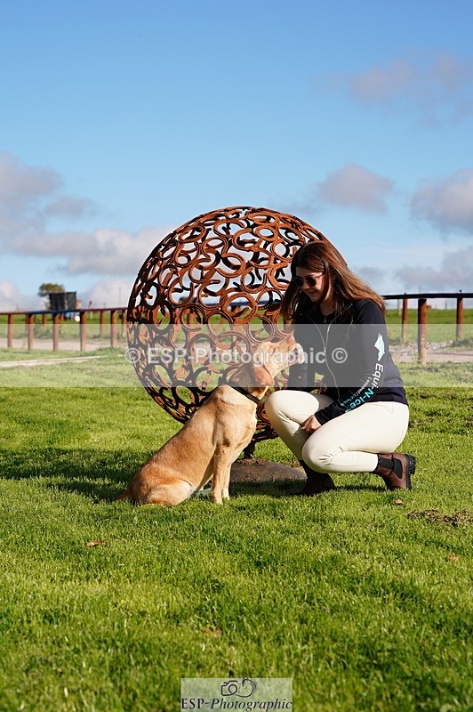 241027A-121908-02706 - SUN Cls 6 Pony Newcomers and 1m Open