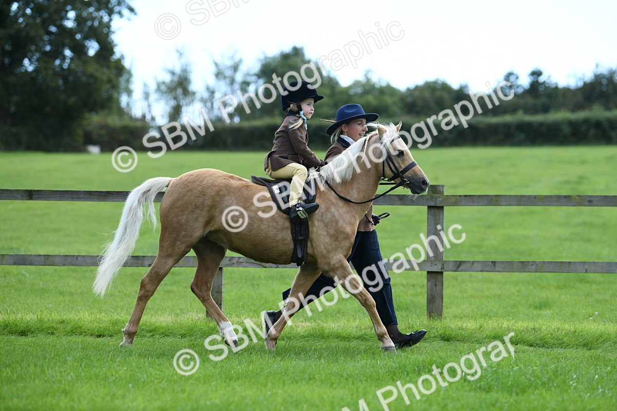 SBM_42435 - S20 - Lead Rein Mountain & Moorland Pony