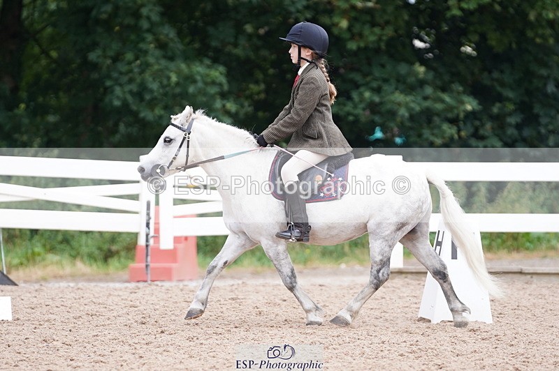 240809A-104716-00662 - Dressage Competition
