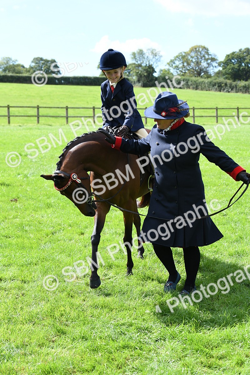SBM_41241 - S19 - Lead Rein Show & Show Hunter Pony