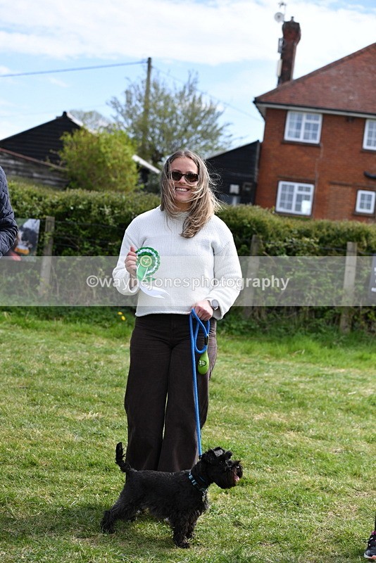 WJ5_0641 - Class 7 Best Terrier