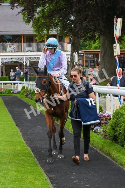 250524-Race 4-Term Of Endearment-3665 - Race 4 3.20pm William Hill Bronte Cup Fillies' Stakes