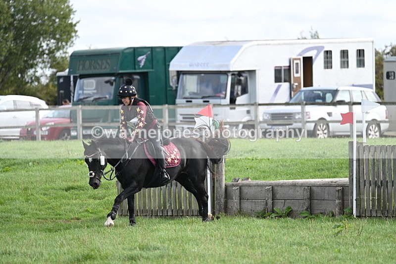 WJ7_8329 - 60cm Pairs