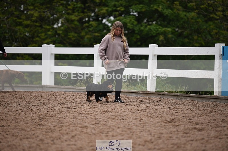 240518A-124748-01201 - Cls 5 Best Purebred