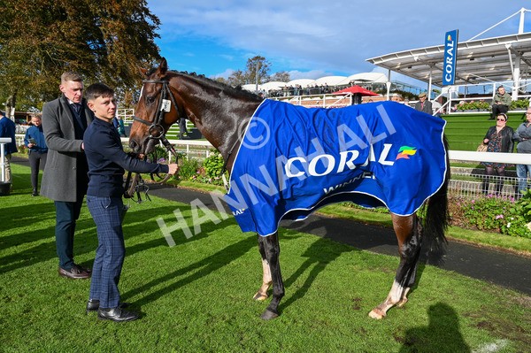 141023-Race 4-Colorada Dancer-9070 - Race 4 3.05pm Coral Racing Club EBF Maiden Stakes