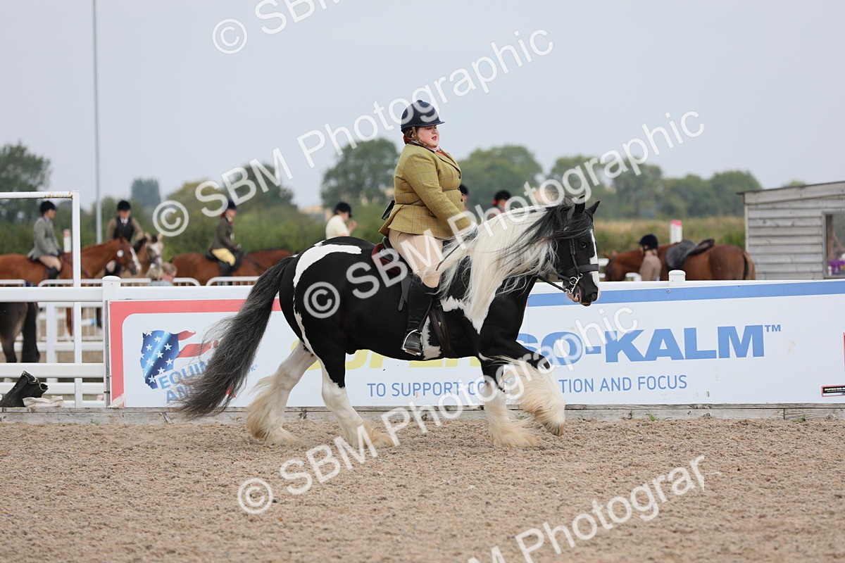 SBM_12763 - Class 307 Ridden Coloured Pony