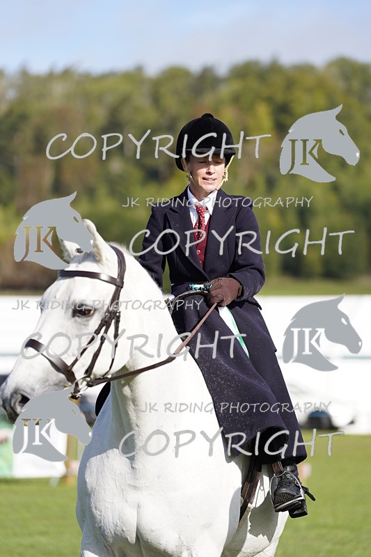 _DSC9591 - Class 8 & 17 Ridden Hunter & Ridden Hunter Pony