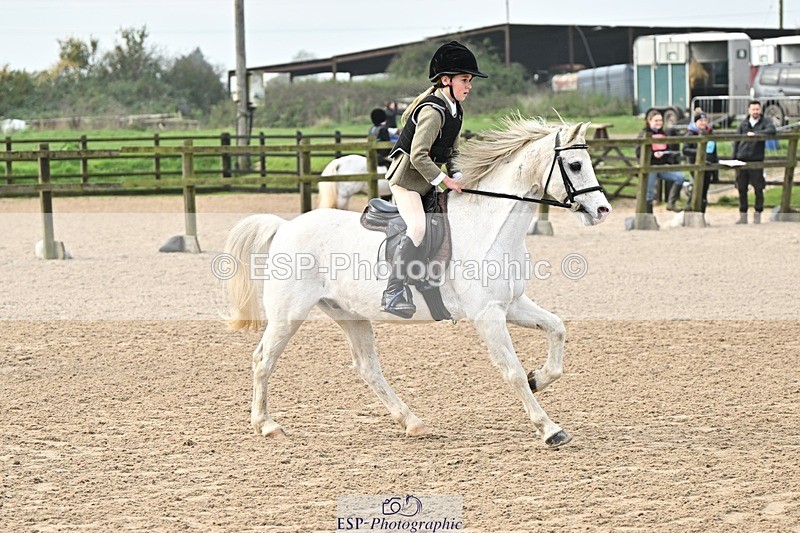 241110-103154-00328 - 40cm Showjumping