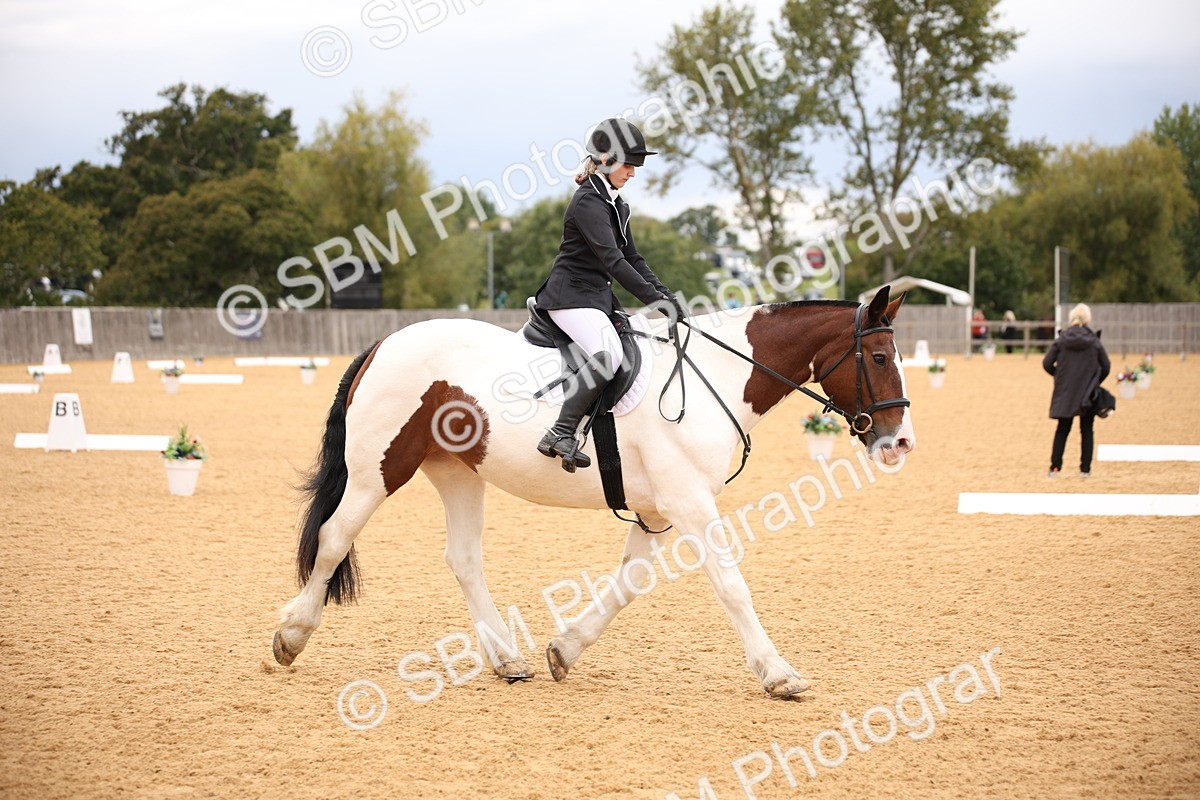 SBM_09126 - D8 Small Tour Championship Prelim 7