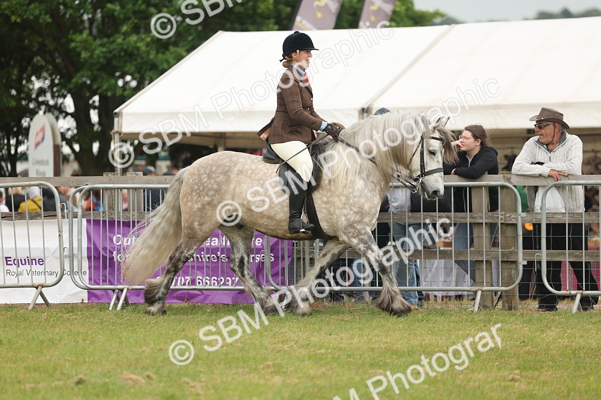 SBM_08943 - Class 78-80 - Ridden M&M Non Welsh Ponies