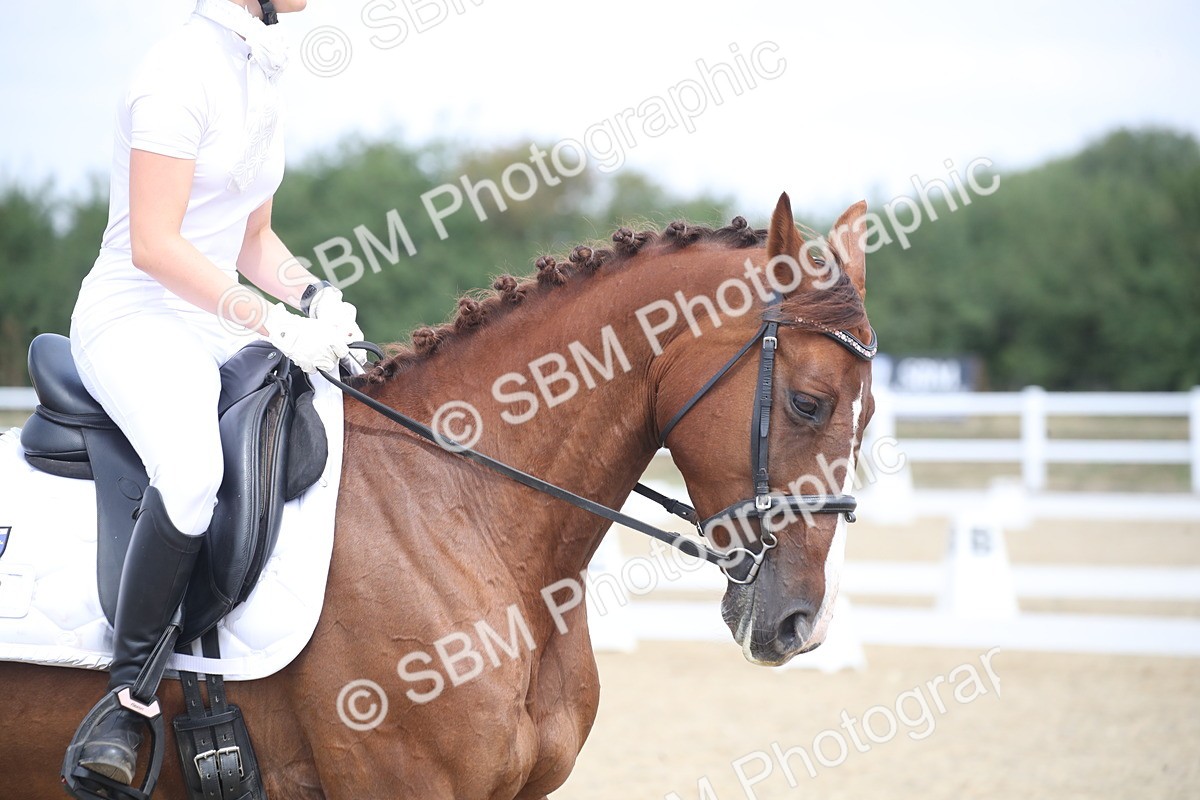 SBM_006842 - Novice 5 - 10.56-13.12