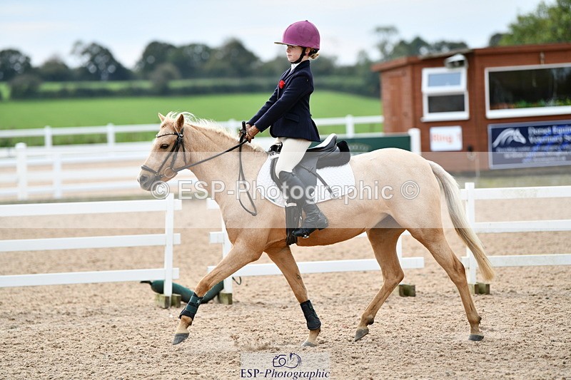 241013B-130631-01173 - Cls 3 50cm