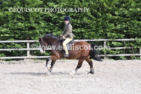 BPP_7616 - RING 1  (RIDDEN HORSES / IN HAND / VETERAN ETC)